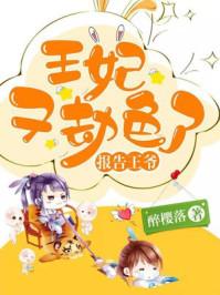 宿敌小冤家:腹黑相公呆萌妃