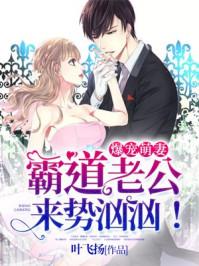 王爷太腹黑:天才儿子萝莉娘亲