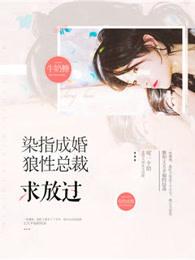 透视极品医圣