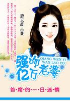 腹黑总裁追逃妻