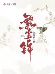 繁尘锦