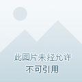 极品小僵尸