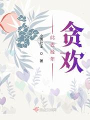 此去经年贪欢