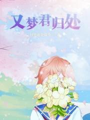 又梦君归处