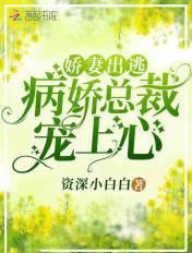 娇妻出逃,病娇总裁宠上心